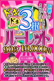 ☆ドキドキ3択フリールーレット☆ 【90分　10000円】